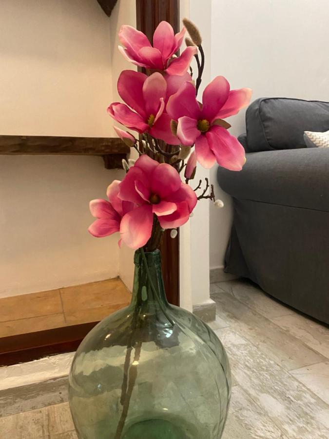 Apartamento La Pepa - Santa Cruz De La Palma Санта-Круз-де-ла-Пальма Экстерьер фото