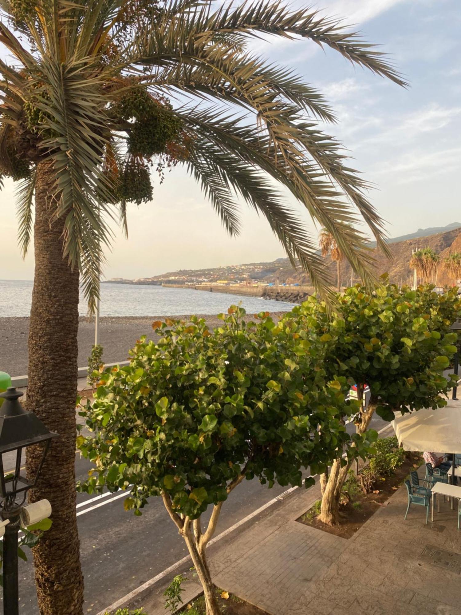 Apartamento La Pepa - Santa Cruz De La Palma Санта-Круз-де-ла-Пальма Экстерьер фото